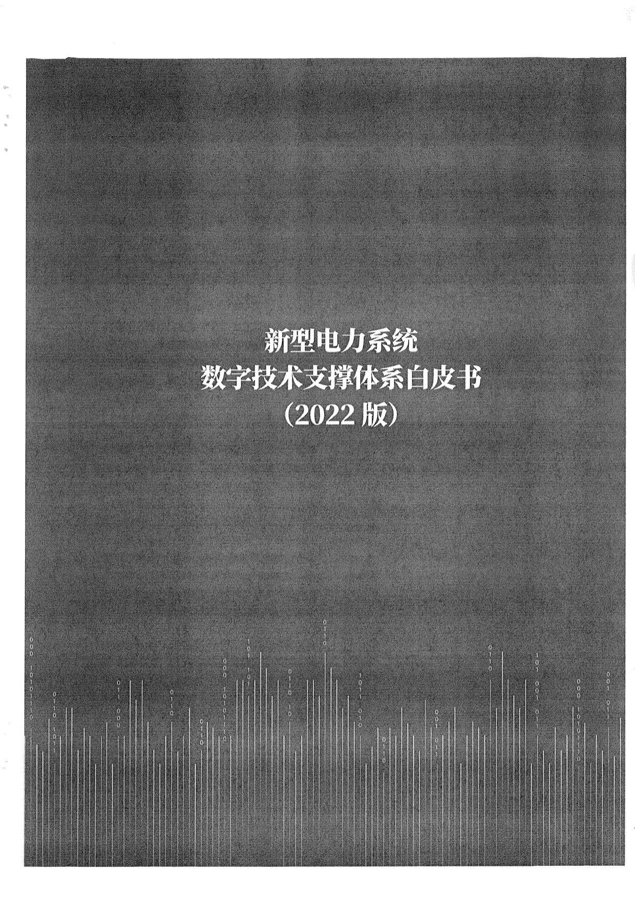 新型电力系统数字技术支撑体系白皮书（2022版）-国家电网-文献书典-pdf 